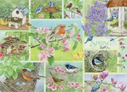 Cobble Hill - 45101 - Garden Birds in Spring (Jane Shasky) - 500 XL Piece