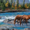 Cobble Hill - 40267 - On the Rocks (Kim Penner) - 1000 Piece