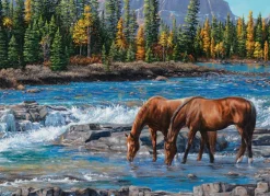 Cobble Hill - 40267 - On the Rocks (Kim Penner) - 1000 Piece