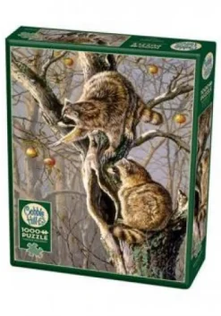 Cobble Hill - 80192 - Ringtail Raiders (Jack Paluh) - 1000 Piece