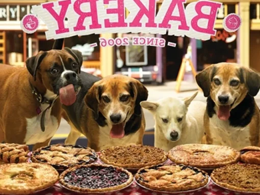 Cobble Hill - 85033 - Who Wants Pie - 500 Piece