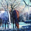 Cobble Hill - 45056 - Winter`s Beauty (Kim Penner) - 500 XL Piece