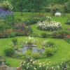 Cranham - 17 - A Scottish Rose Garden - 500piece