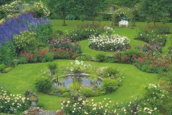 Cranham - 17 - A Scottish Rose Garden - 500piece
