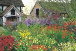 Cranham - 25 - Eastgrove Cottage Garden - 500piece