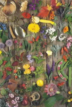Cranham - 09 - Garden Montage - 500piece