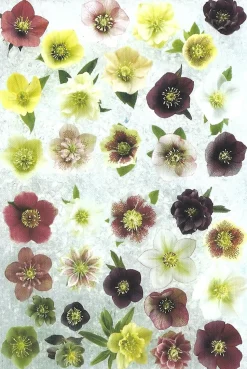 Cranham - 19 - Hellebore Collection - 500 piece