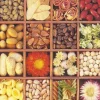 Cranham - 24 - Nut and Seed Collection - 500piece