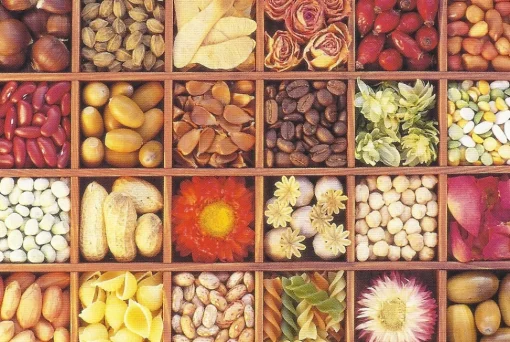 Cranham - 24 - Nut and Seed Collection - 500piece