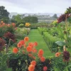 Cranham - 18 - Parham House Garden - 500piece