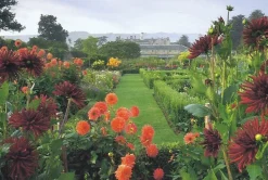 Cranham - 18 - Parham House Garden - 500piece