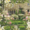 Cranham - 21 - Roses on a Trellis - 500piece