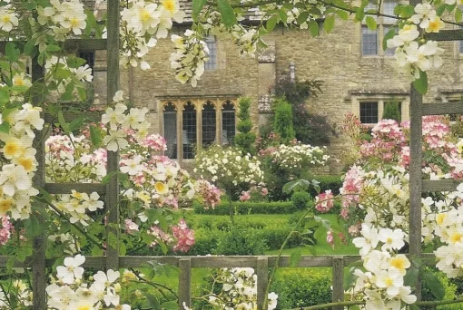 Cranham - 21 - Roses on a Trellis - 500piece