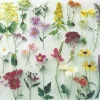 Cranham - 23 - Summer Flowers Montage - 500piece
