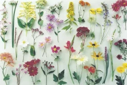 Cranham - 23 - Summer Flowers Montage - 500piece