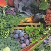 Cranham - 10 - Vegetable Box - 500piece