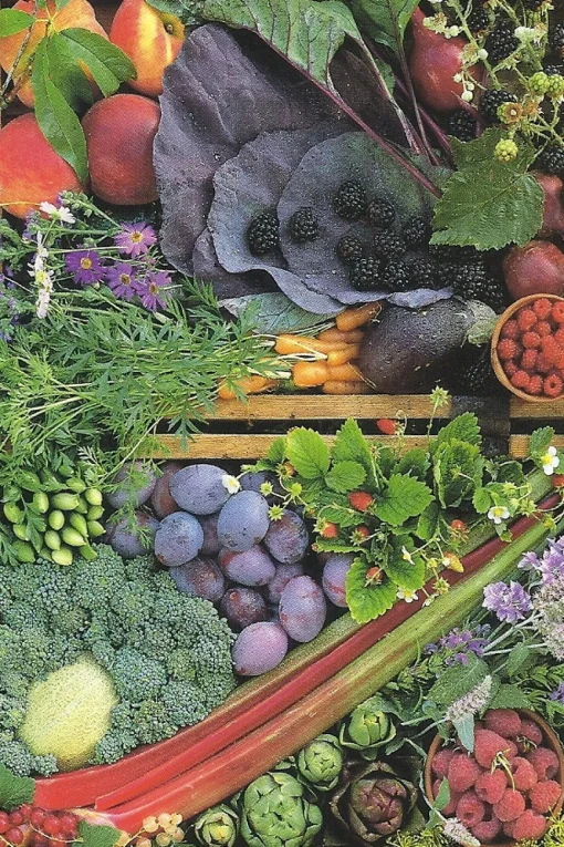 Cranham - 10 - Vegetable Box - 500piece