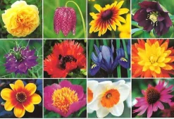 Cranham - JPCP 32 - Blooming Gorgeous - 500 Piece