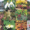 Cranham - JPCP 22 - The Gardening Year - 500piece