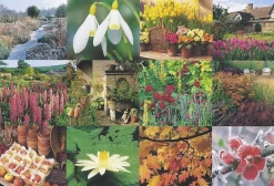 Cranham - JPCP 22 - The Gardening Year - 500piece