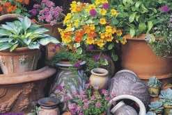 Cranham - JPCP 30 - Whychford Terracotta Pots - 500piece