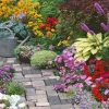 Cranham - JPCP26 - A Colourful Courtyard Garden - 500 Piece