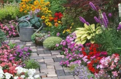 Cranham - JPCP26 - A Colourful Courtyard Garden - 500 Piece