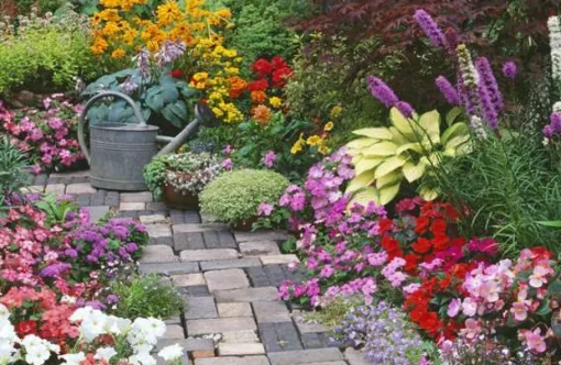 Cranham - JPCP26 - A Colourful Courtyard Garden - 500 Piece