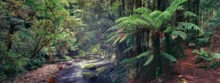 Crown and Andrews Australia - 81838 - Bird River Tasmania - 748piece