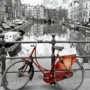 Educa - 17116 - Amsterdam - 1000 Piece Miniature Puzzle