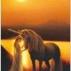 Educa - 13411 - Enchanted evening - 500piece
