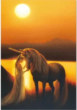 Educa - 13411 - Enchanted evening - 500piece