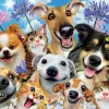 Educa - 17983 - Fun in the Sun Selfie (Howard Robinson) - 500 Piece