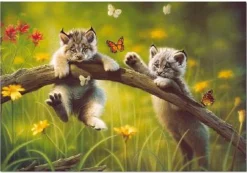 Educa - 13413 - Kittyland - 500piece