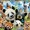 Educa - 18117 - LLama Drama Selfie (Howard Robinson) - 1000 Piece