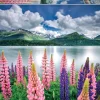 Educa - 19271 - Lupins on the Shores of Lake Sils, Switzerland - 1500 Piece