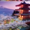 Educa - 16775 - Mount Fuji Japan - 2000 Piece