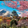 Educa - 19276 - Osaka Castle Japan - 2000 Piece