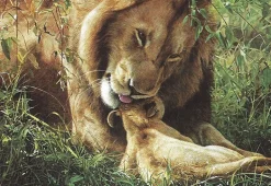 Educa - 11737 - Wild Tenderness - 500piece