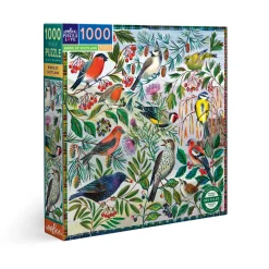 Eeboo - 51429 - Birds of Scotland (Asta Barrington) - 1000 Piece