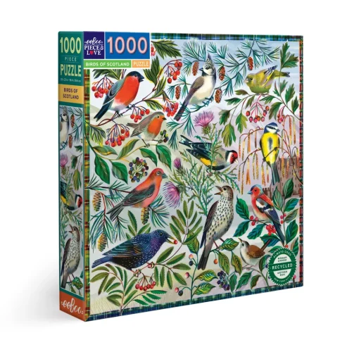 Eeboo - 51429 - Birds of Scotland (Asta Barrington) - 1000 Piece
