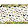 Emma Ball - JIG 30 - British Birds (Eric Heyman) - 1000 Piece