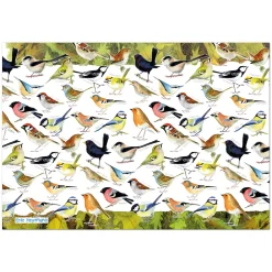 Emma Ball - JIG 30 - British Birds (Eric Heyman) - 1000 Piece