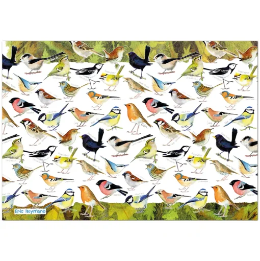 Emma Ball - JIG 30 - British Birds (Eric Heyman) - 1000 Piece