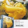Eurographics - 6000-3214 - Flaming June (Frederic Lord Leighton) - 1000piece (With Smart Cut Technology)