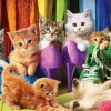 Eurographics - 6000-5543 - Kitten Pride (Andrew Farley) - 1000 Piece (With Smart Cut Technology)