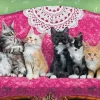 Eurographics - 6010-5629 - Kitty Cat Couch - 1000 Piece Panorama