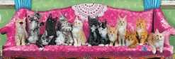 Eurographics - 6010-5629 - Kitty Cat Couch - 1000 Piece Panorama