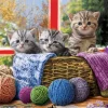 Eurographics - 6500-5500 - Knittin Kittens - 500 XL Piece