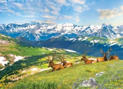 Eurographics - 6000-5705 - Mountain Elk - 1000 Piece
